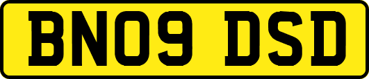 BN09DSD