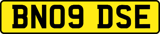 BN09DSE
