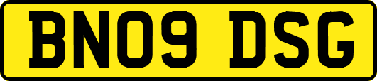 BN09DSG