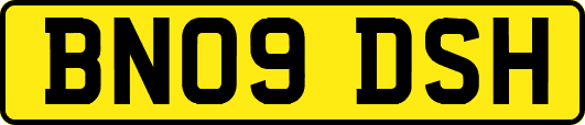 BN09DSH