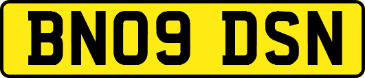 BN09DSN