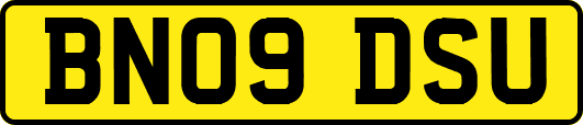BN09DSU