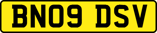 BN09DSV
