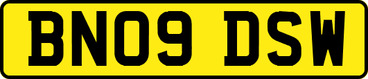 BN09DSW
