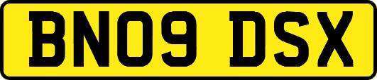 BN09DSX