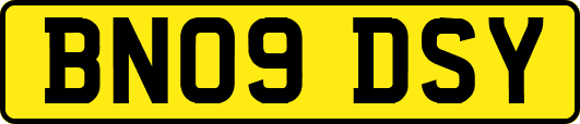 BN09DSY