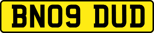 BN09DUD