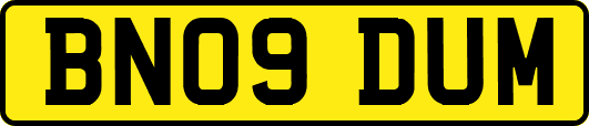 BN09DUM