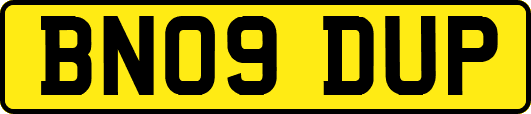BN09DUP
