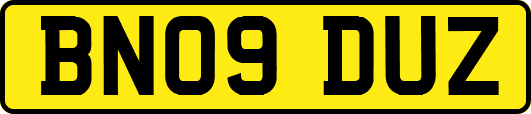 BN09DUZ