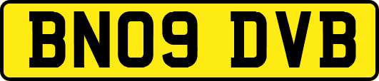 BN09DVB