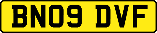 BN09DVF
