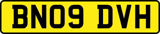 BN09DVH