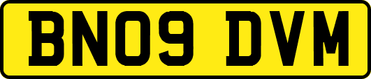 BN09DVM
