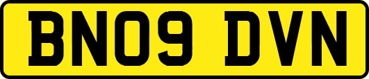 BN09DVN
