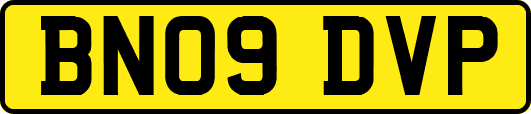 BN09DVP