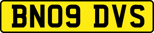 BN09DVS