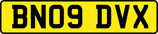 BN09DVX