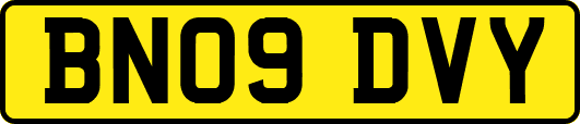 BN09DVY