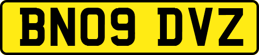 BN09DVZ