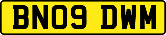 BN09DWM