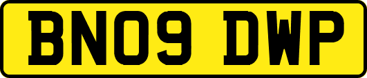 BN09DWP