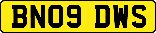 BN09DWS