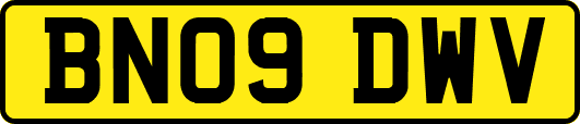 BN09DWV