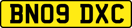BN09DXC