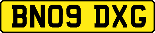 BN09DXG