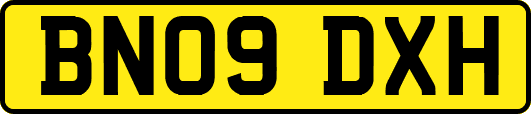 BN09DXH