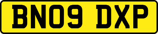 BN09DXP