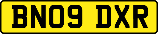 BN09DXR