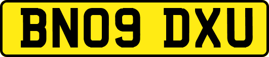 BN09DXU