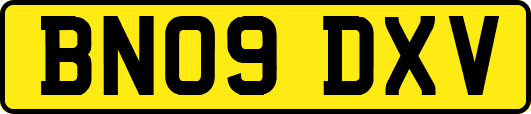 BN09DXV
