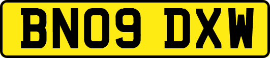 BN09DXW