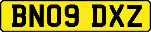 BN09DXZ