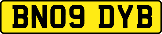 BN09DYB