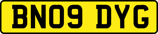 BN09DYG