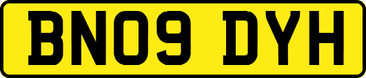 BN09DYH