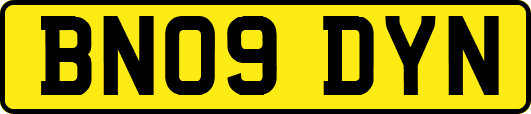 BN09DYN