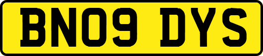 BN09DYS