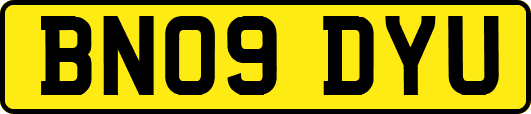 BN09DYU