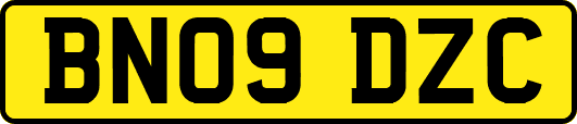 BN09DZC