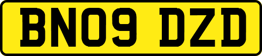 BN09DZD