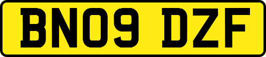 BN09DZF