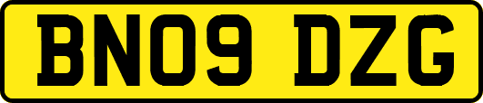 BN09DZG