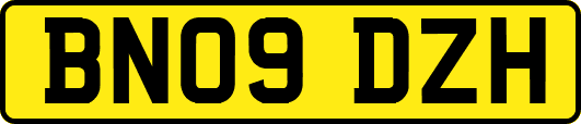 BN09DZH