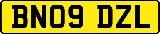 BN09DZL