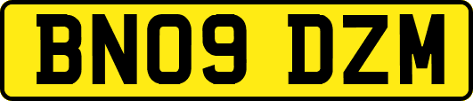 BN09DZM